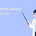 GDP trong ngành Dược là gì? Yêu cầu cơ bản GDP ngành Dược