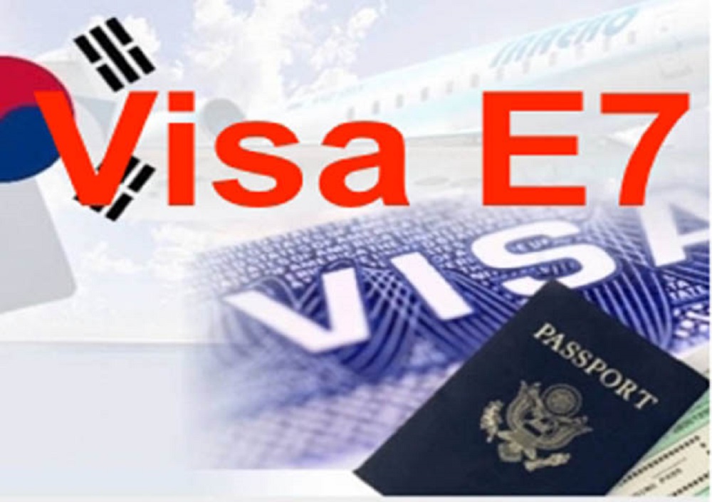 visa-e7