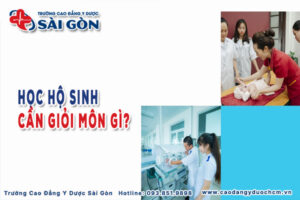 Học Hộ sinh cần giỏi môn gì? Bí kíp để học tốt các môn?